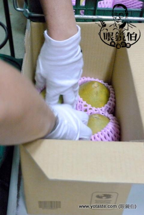 以國際鮮果出口程序進行中秋文旦禮盒的包裝,台灣企業信賴的中秋送禮水果禮盒